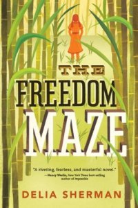 freedom maze
